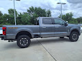 2024 Ford Super Duty F-250 SRW Platinum