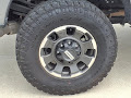 2024 Ford Super Duty F-250 SRW Platinum